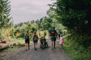 Kolorowa fotografia: grupa osób spaceruje szeroką ścieżką przez las.
